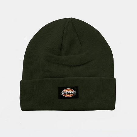 Dickies-Topi Pria Beanie Fargo(X8G0 