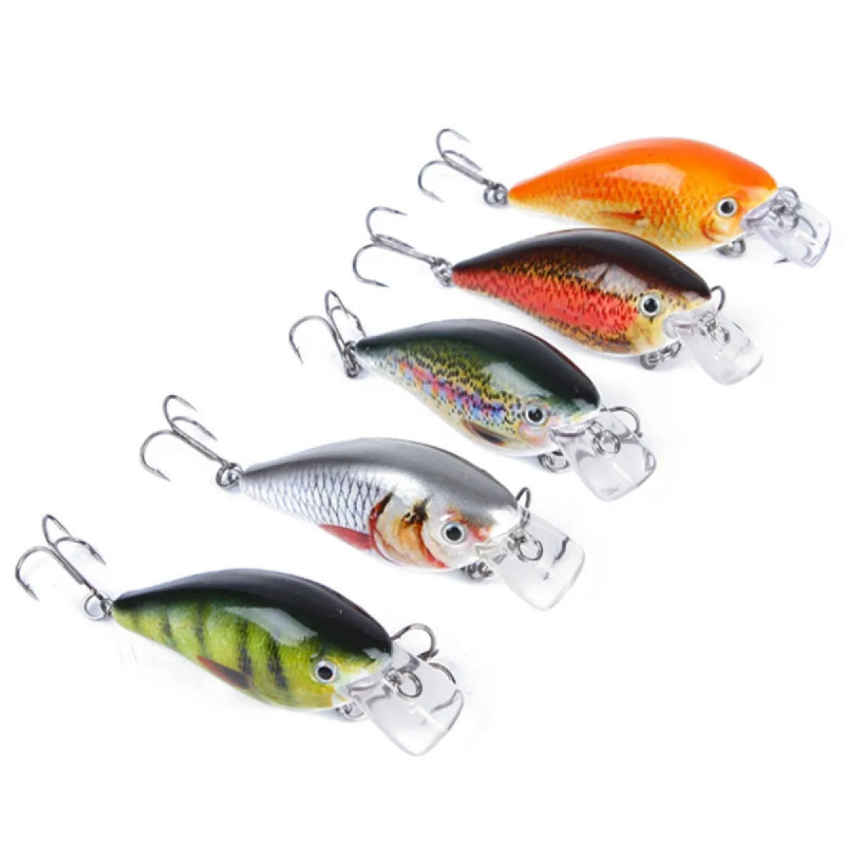 carp fishing bait