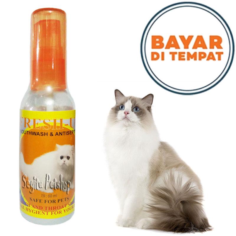 Obat Sariawan Kucing Sakit Tenggorokan Penghilang Bau Mulut Fresh Up Lazada Indonesia