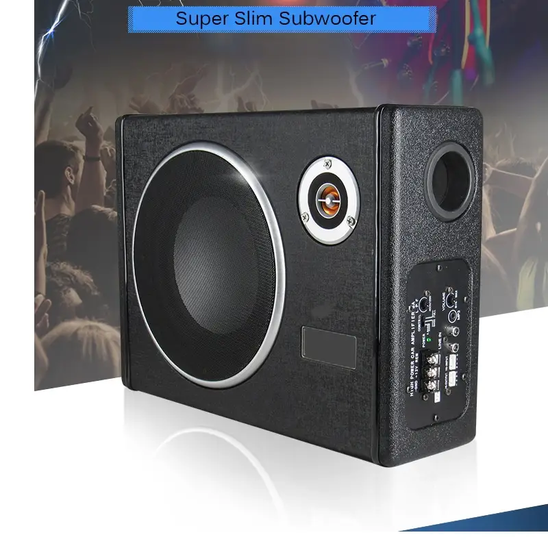 10 inch speaker with box
