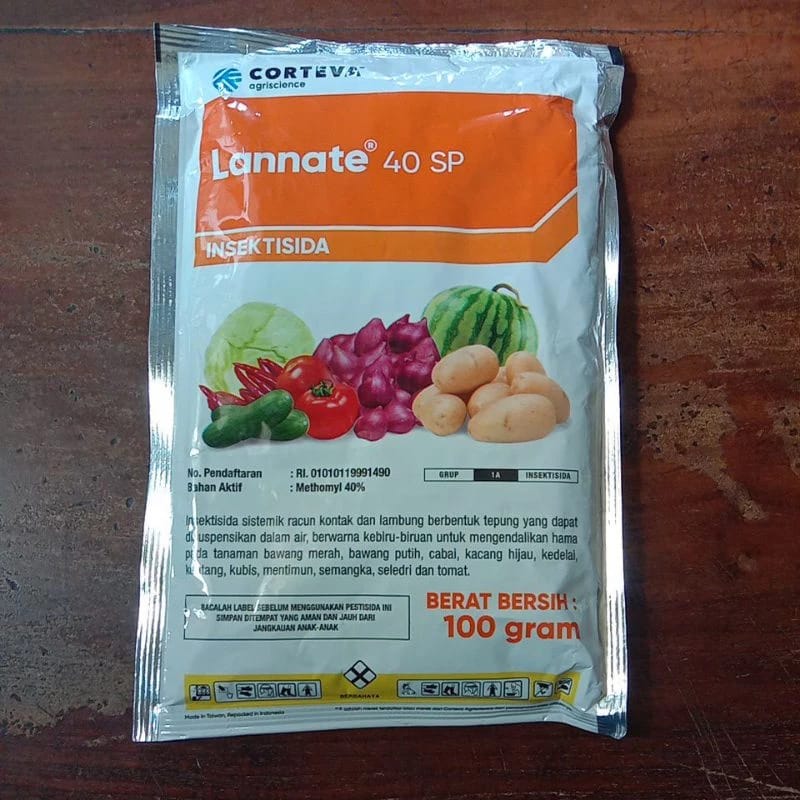 Katta kokraklar bilan onlayn xxx lanet