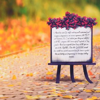 Andoer 1.5 * 2m Photography Background Backdrop Autumn Fallen Leaves Road Sign Pattern For Children Kids Baby Photo Studio Portrait Shooting Outdoorfree - Intl Juli 2018 - 4 Andoer 1.5 * 2m Photography Background Backdrop Autumn Fallen Leaves Road Sign Pattern for Children Kids Baby Photo Studio Portrait Shooting Outdoorfree - intl - 4