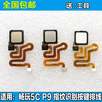Gambar Huawei 5c g9 p9 eva al00 sidik jari identifikasi kabel