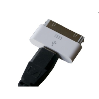 Gambar Micro USB Adapter Converter to 30 pin Dock Connector for AppleiPhone 4S 4 3GS 3G   intl