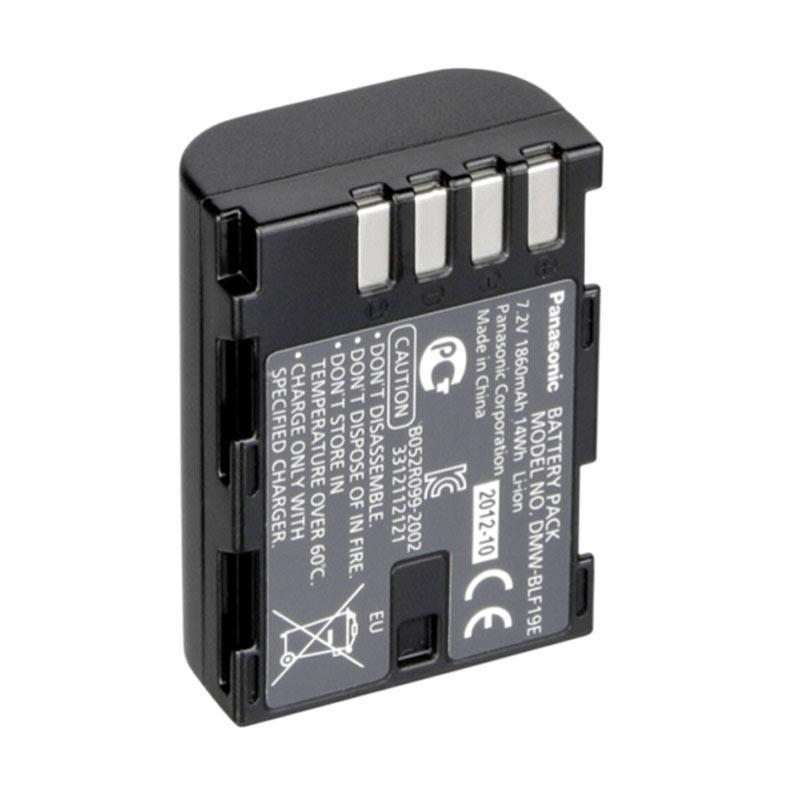 DISKON Panasonic DMW BLF19E Battery for Lumix GH4 or GH5