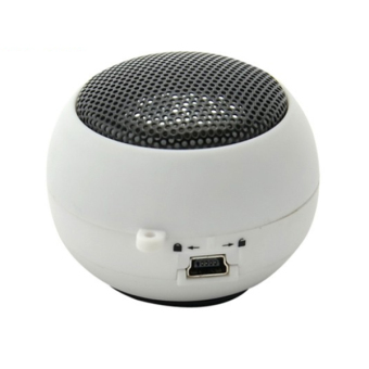 Portable Bluetooth Speaker (White)