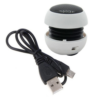 Portable Bluetooth Speaker (White)