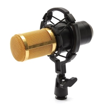 Gambar RHS Online BM800 Condenser Microphone Recording With Shock Mount Kit   intl