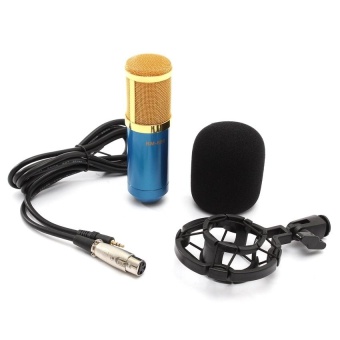 Gambar RHS Online BM800 Condenser Microphone Recording With Shock MountKit   intl