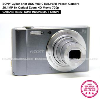 SONY Cyber-shot DSC-W810 (SILVER) Pocket Camera 20.1MP 6x Optical Zoom HD Movie 720p  