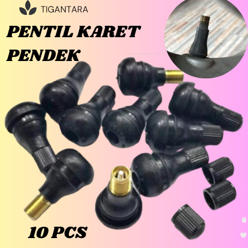 10 PCs good quality universal motorcycle tire short rubber tubeless valve Honda Yamaha Kawasaki Harga 15,000 rupiah*Gratis Ongkir