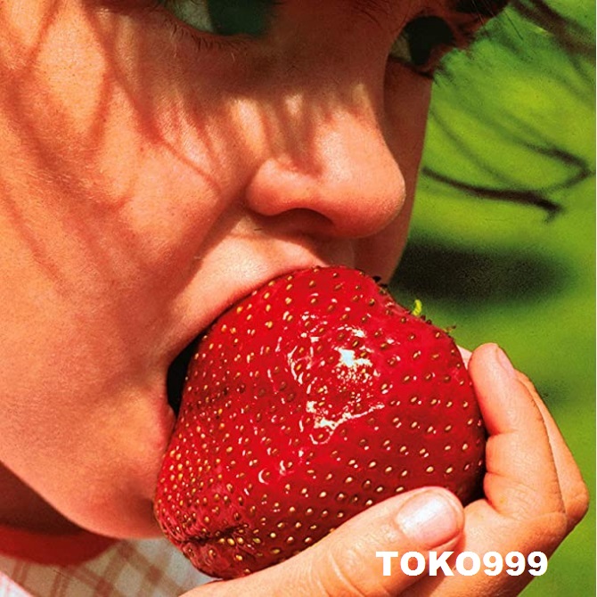 	 STRAWBERRY JUMBO 10 biji bibit seed seeds Benih Stroberi Jumbo Strowbery California Besar Bibit Buah Strawberry Giant Berry Unggul TOKO999	