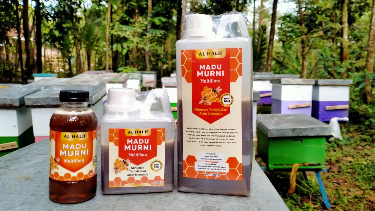Madu Asli 100% Murni Tanpa Campuran / Madu Al-halif / 1 KG