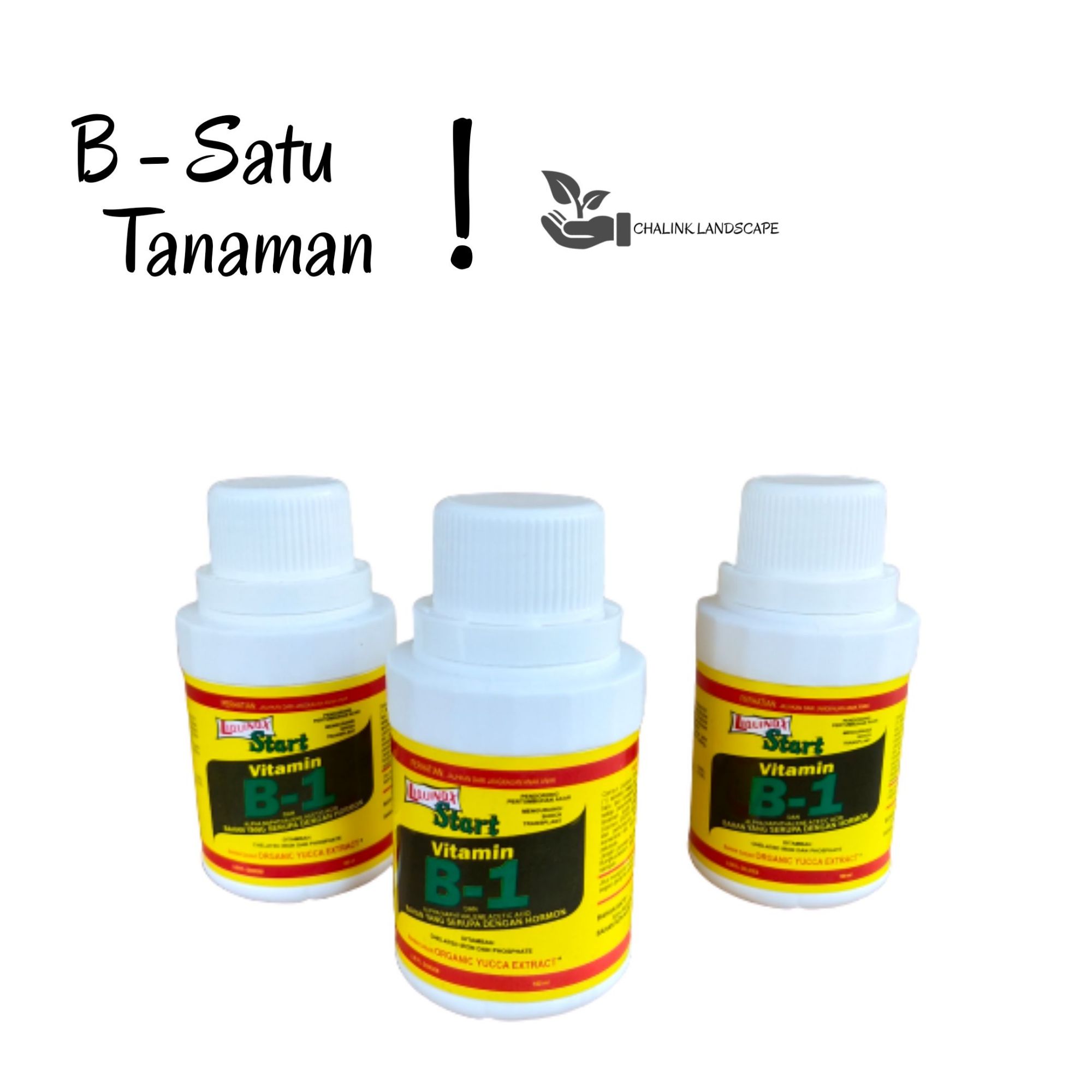 Jual Vitamin B1 Untuk Tanaman Terbaru Lazada Co Id