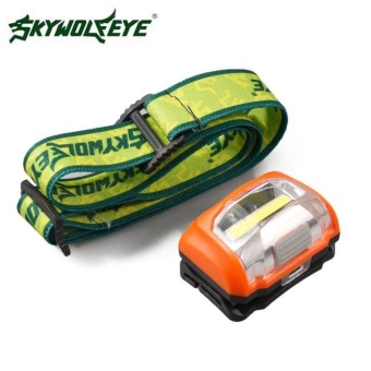 3W Mini Headlight 300Lumens LED Headlamp Flashlight Lamp Head TorchCamping - Intl Mei 2018 - 2 3W Mini Headlight 300Lumens LED Headlamp Flashlight Lamp Head TorchCamping - intl - 2