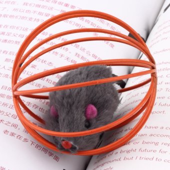 Allwin menyenangkan hadiah bermain main mainan bola tikus palsu di kandang untuk hewan peliharaan kucing anak kucing