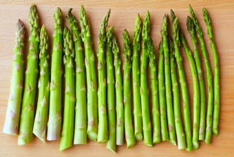 Amefurashi Benih Sayur Asparagus Juli 2019 - 2 Amefurashi Benih Sayur Asparagus - 2
