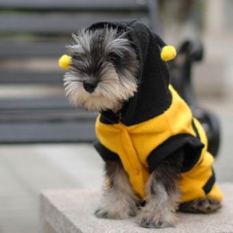 Anak Anjing Kucing Pet Bee Baju Kostum Jaket Mantel Burung Gagak Kelabu Pakaian 5 Ukuran 14 April 2018 - 5 Anak anjing kucing Pet Bee Baju Kostum jaket mantel burung gagak kelabu pakaian 5 ukuran 14 - 5