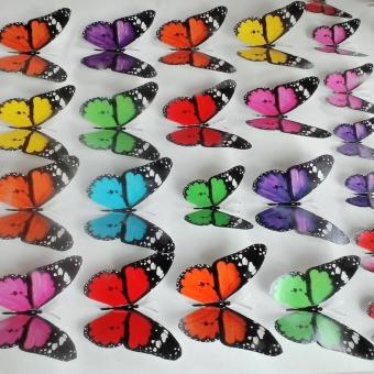 BELI SEKARANG Butterfly 3D isi 40 pcs kupu- kupu dengan ukuran yang bervariasi Klik di sini !!!