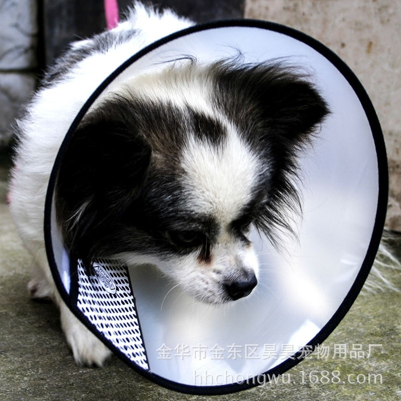 Kucing anjing menyediakan anti gigitan hewan peliharaan yang nyamankerah menutup leher keselamatan kerucut berguna 6#