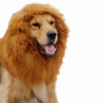 Gambar niceEshop anjing peliharaan surai singa wig rambut untuk pesta mewah Natal berdandan