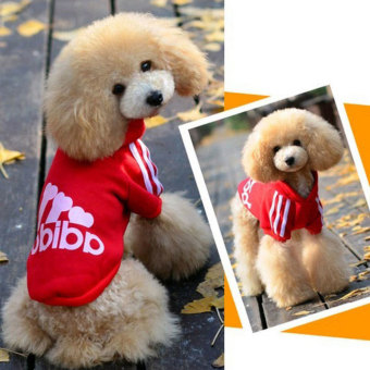 NiceEshop Warm Cotton Pet Dog Cat Puppy T Shirt Hoodies Coat Clothes Apparel (Red,L) Juni 2018 - 4 niceEshop Warm Cotton Pet Dog Cat Puppy T Shirt Hoodies Coat Clothes Apparel (Red,L) - 4