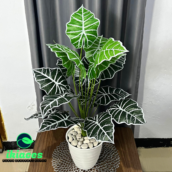 Daun Aglonema artifisial Daun Keladi Plastik POT Bunga Hias Artifisial Daun Keladi Hias Dekorasi Pohon…