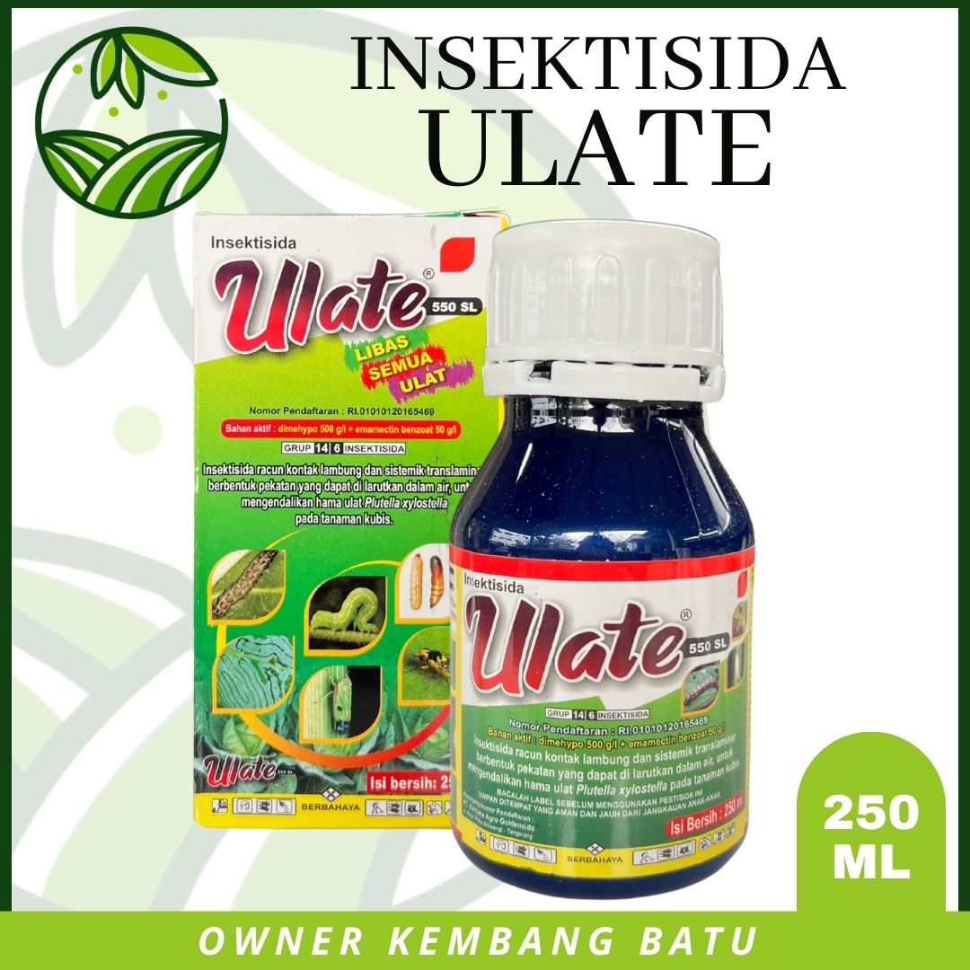 Porno eng chiroyli italyan qizlari