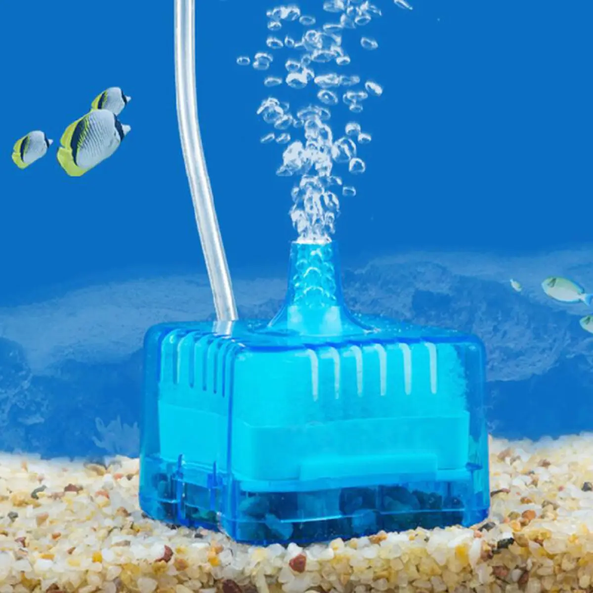 purified water for fish tank