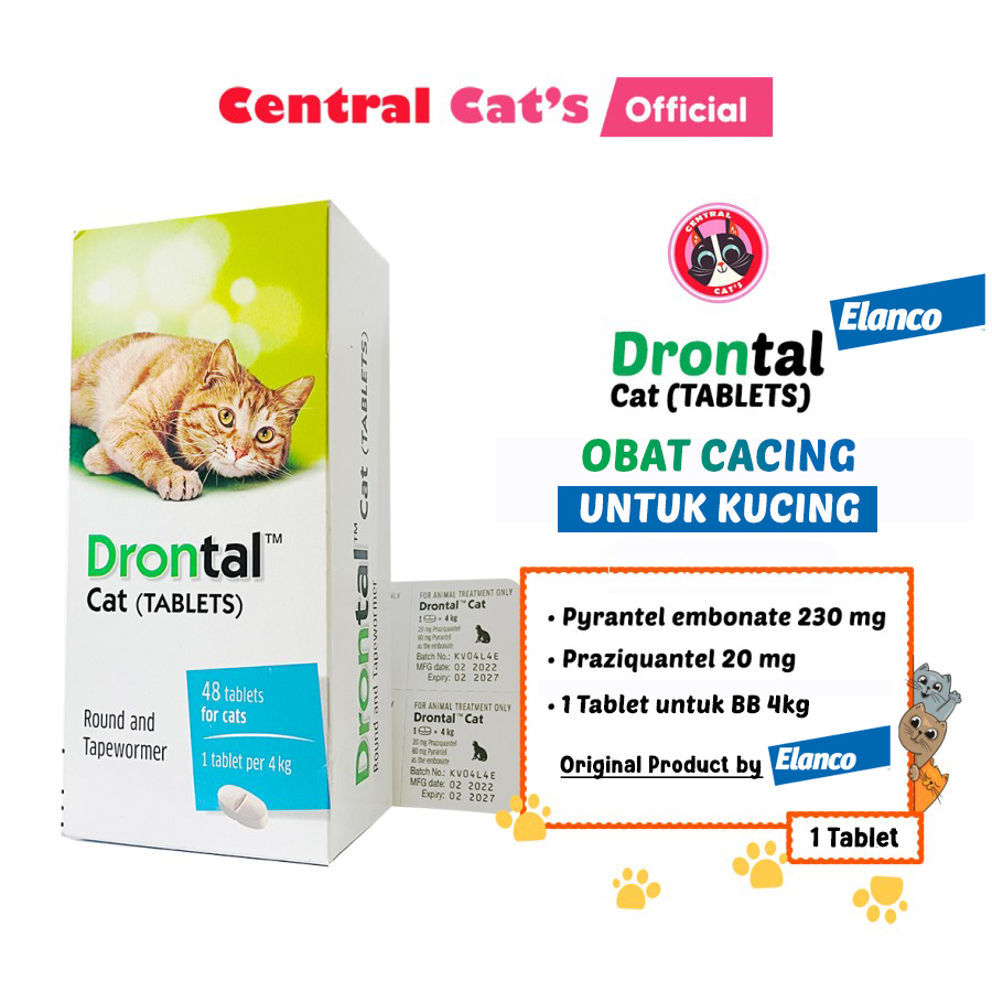 Drontal untuk kitten best sale