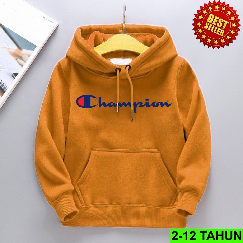 Hoodie Anak Laki Laki Perempuan Sweater CHAMPION Anak Usia