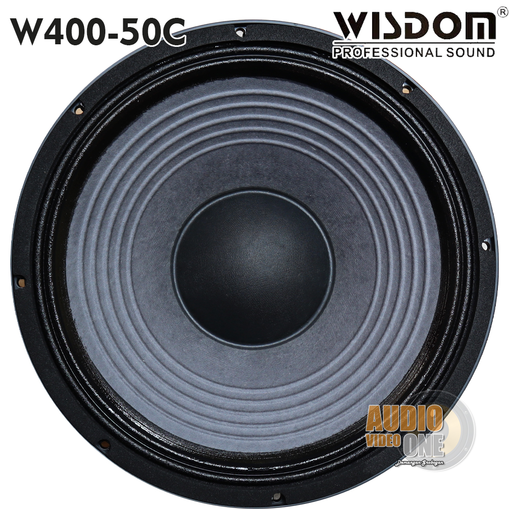Sri Lanka P Audio Speaker Original Speaker Wisdom W400-50C Spiker