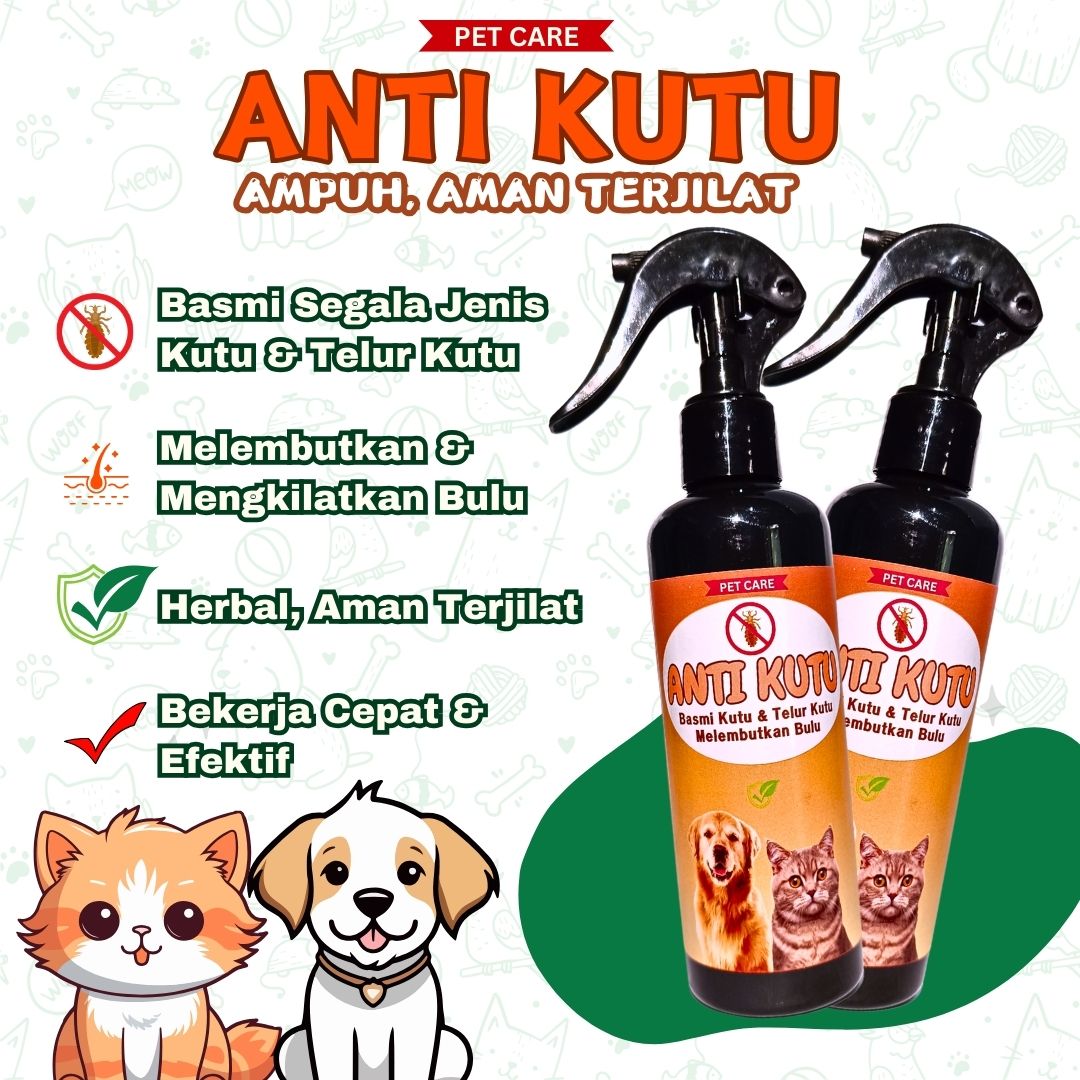 KUTU404 $ DAILY REWARD SHINE! Hadiah Baru Muncul Setiap Hari