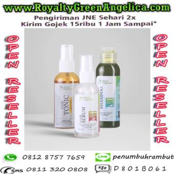 jual new best paket penghitam akar rambut green jual new best paket penghitam akar rambut green