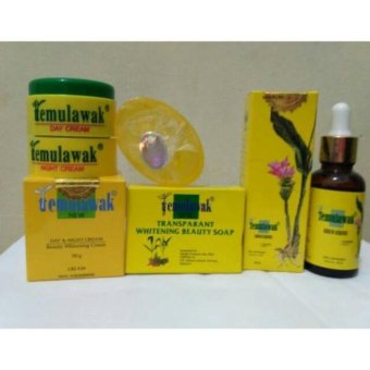 Gambar Temulawak Original Paket (Day Night Cream  Whitening Soap  SerumEssence)