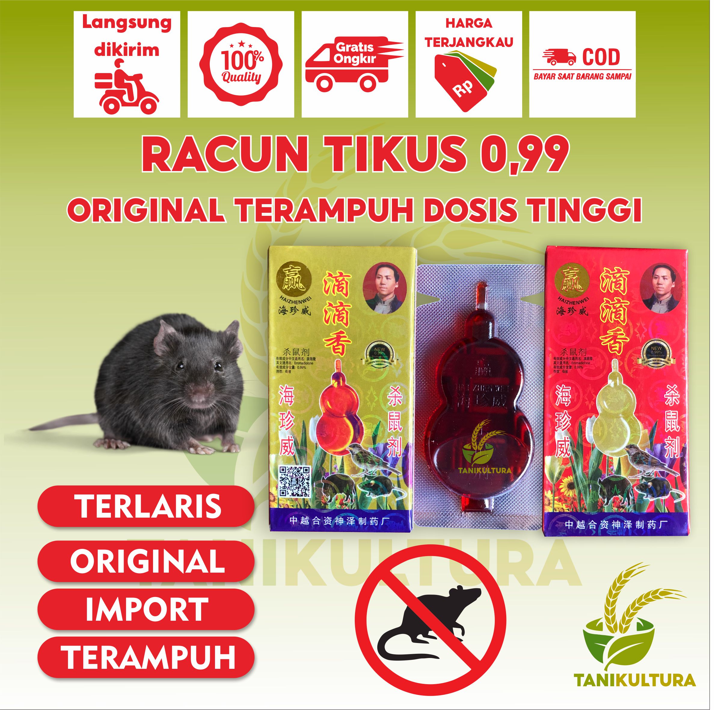 Obat Tetes Tikus Gambar Gitar Lazada