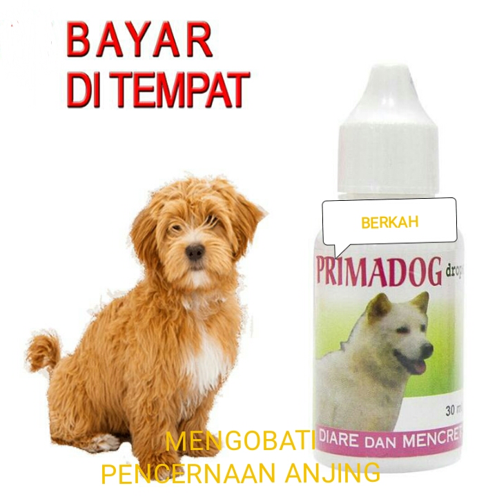 Primadog Obat Mencret Anjing Sakit Diare Puppy Prima Dog Lazada Indonesia