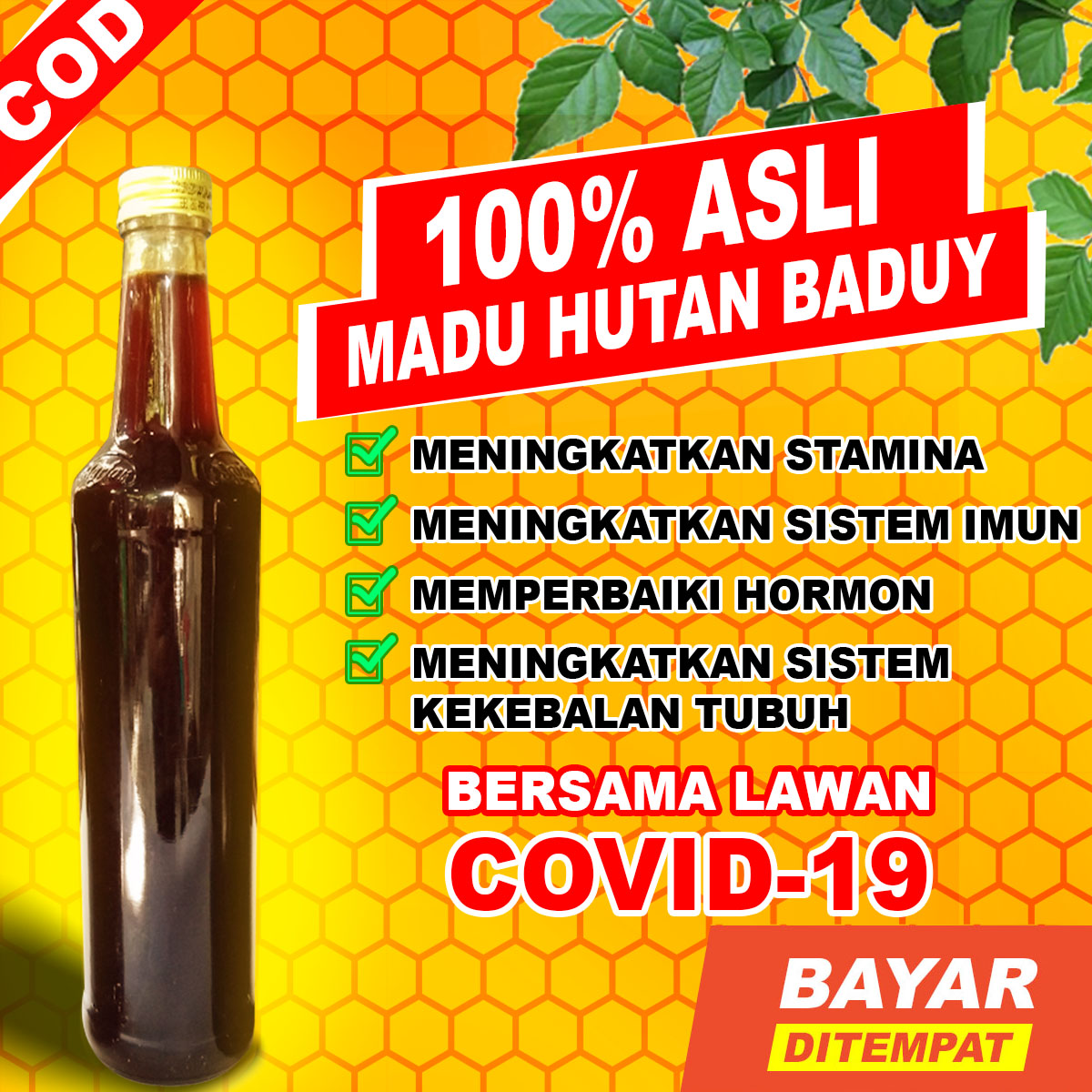 Madu Hutan Asli - Madu Manis Khas Suku Baduy - Madu Odeng Murni 100%