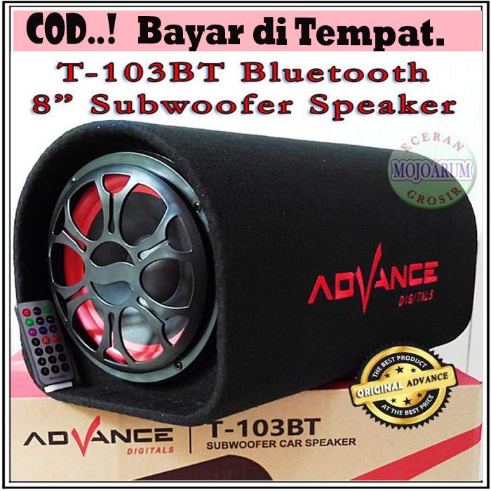 speaker advance 10 inch
