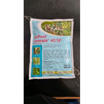 Porno tomosha qilish: Birodar mast opani sikadi onlayn