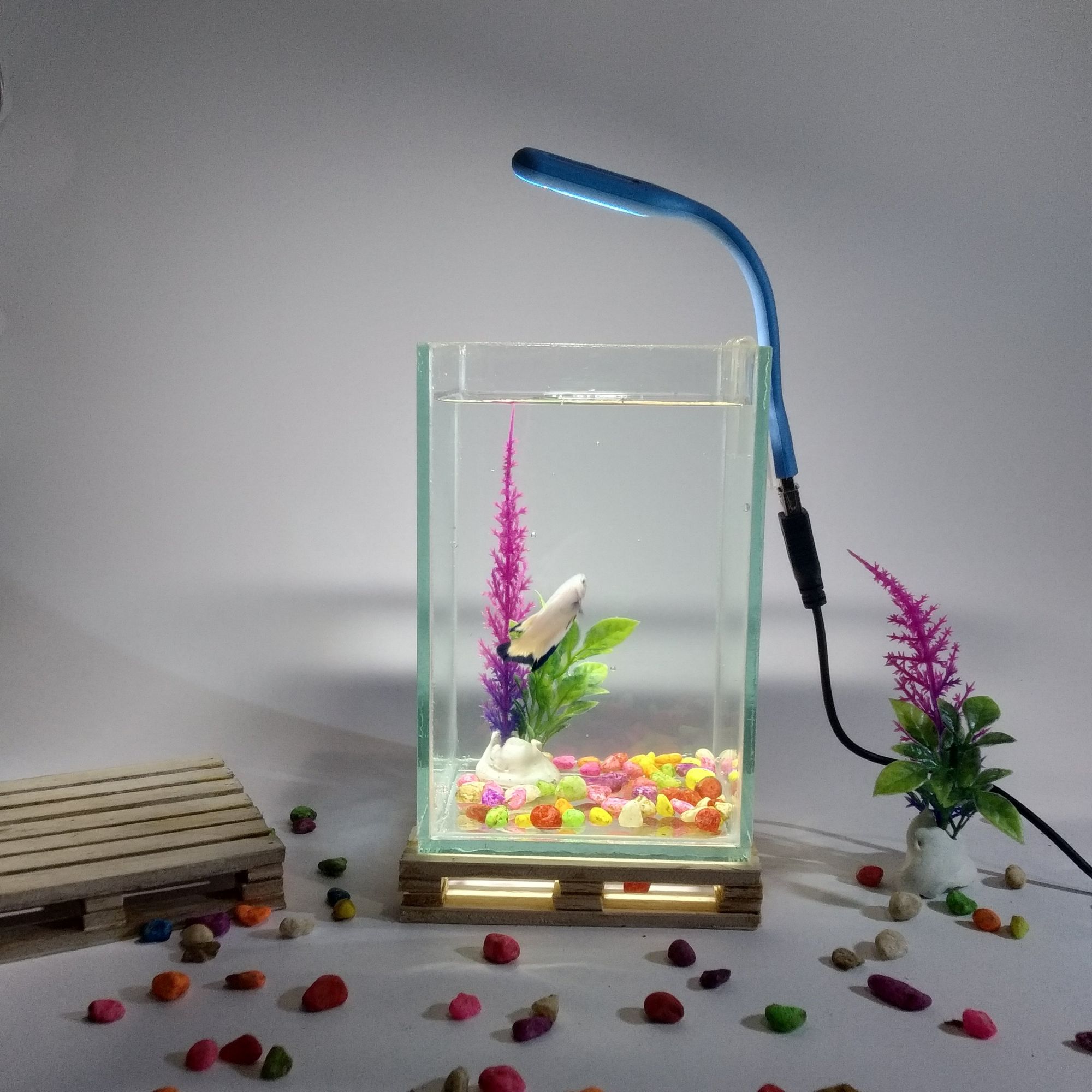 Jual Aquarium Full Set Ukuran 60x40 Akrilik Terbaru Lazada Co Id Aquarium panjang ke atas