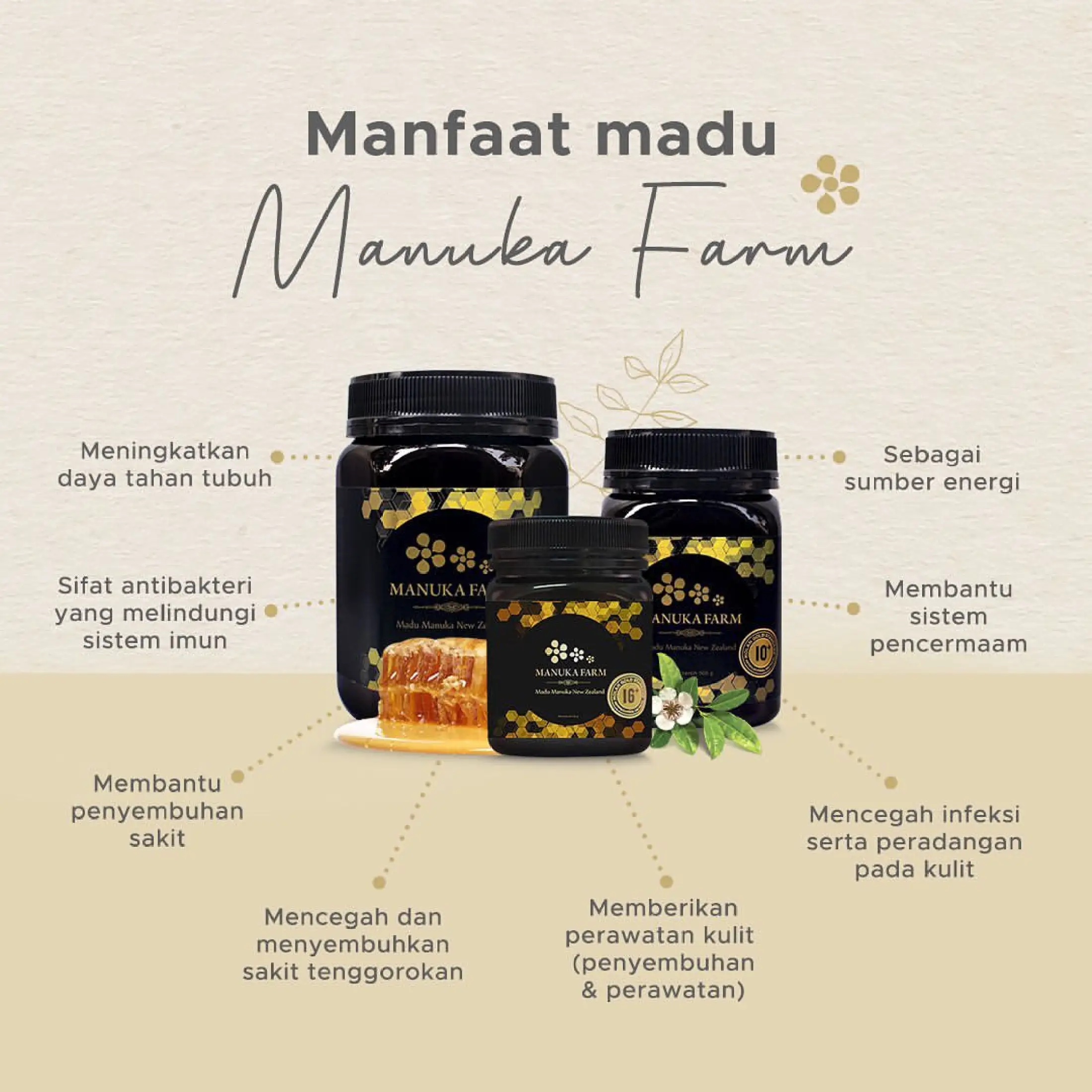 Manuka Farm Mgs 20 Madu Manuka Honey New Zealand 250 Gr Lazada Indonesia