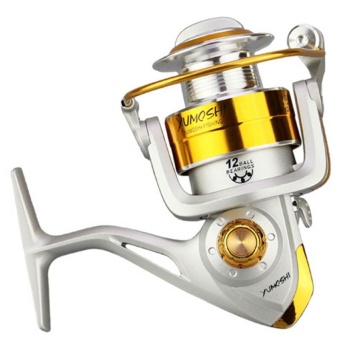 PAlight Memancing Reel 12 BB 5.5:1 logam spul Fishing Tackle Spinning Reel ikan roda Aksesoris (ukuran: 2000)