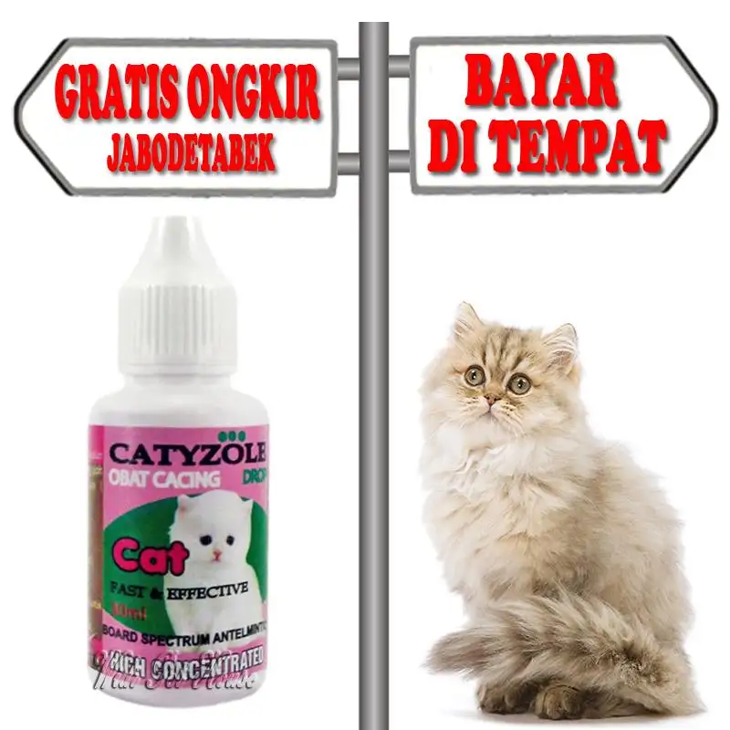 Catyzole Drop Obat Cacing Kucing Kecil Anakan Kitten Lazada Indonesia