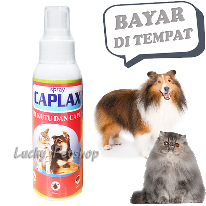 Caplak Sprey Obat Pembasmi Kutu Kucing Caplax Anjing Lazada Indonesia