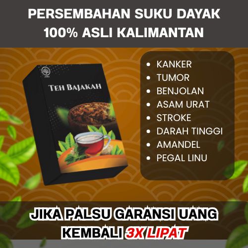 3 BOX TEH Bajakah Qohirah Hilangkan Benjolan