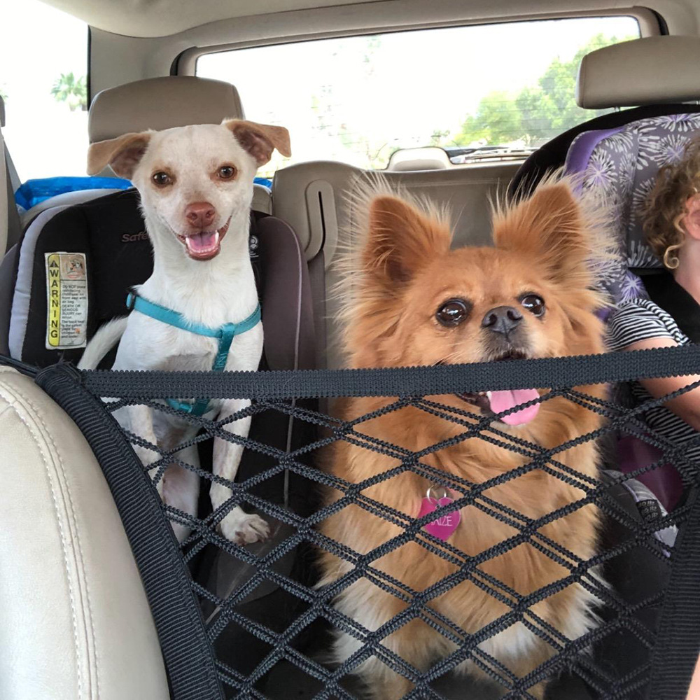 safest dog carrier for car