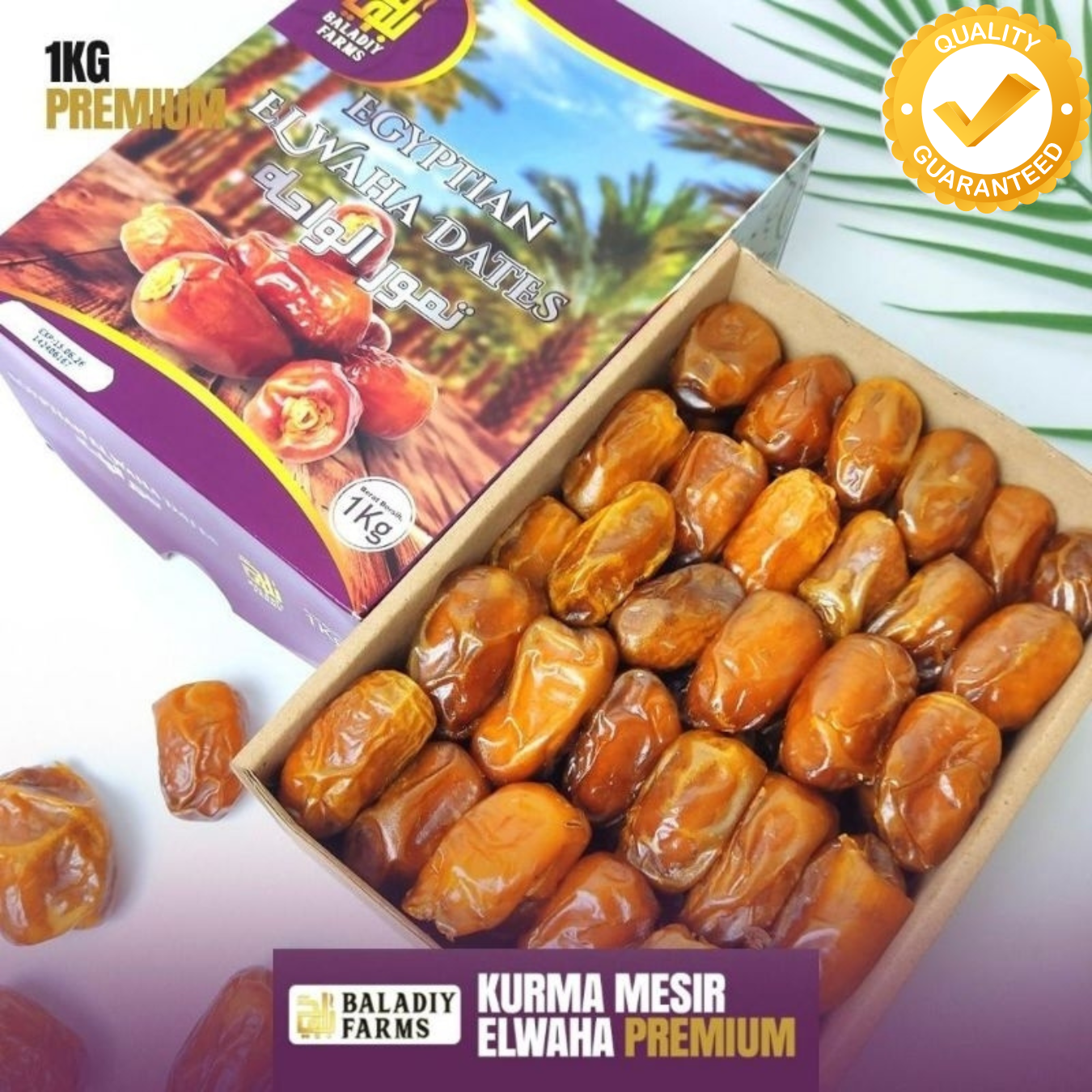 Kurma Mesir Premium ELWAHA Egyptian Dates 1kg 5kg