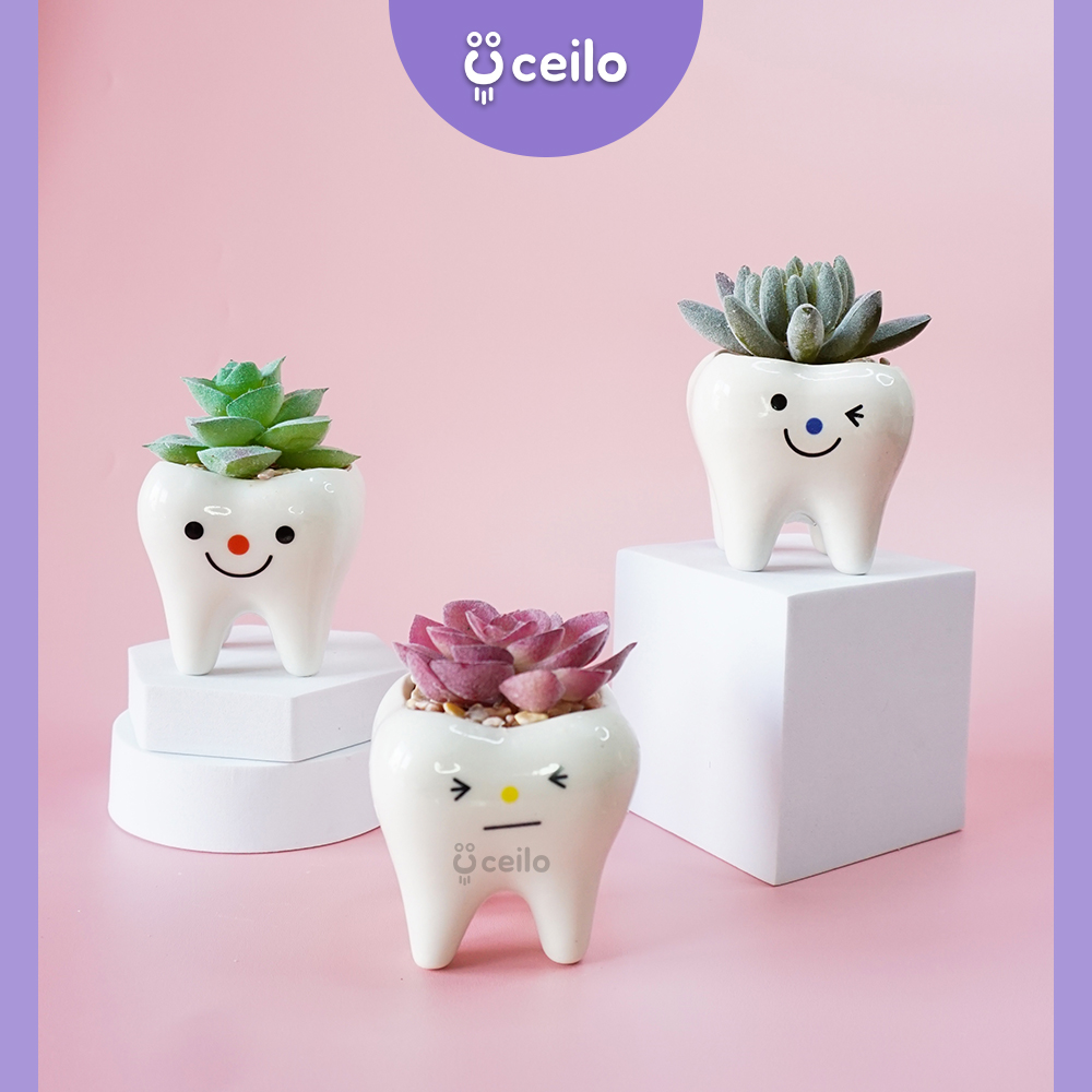 CEILO Kaktus Sukulen artifisial Pot Gigi Cactus Succulent Tanaman Hias untuk dekorasi rumah dan Kado