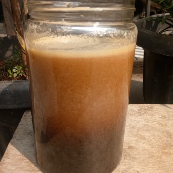 MADU MURNI HUTAN SIALANG RIAU 1kg